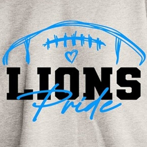 Vintage Detroit Lions Football Sweatshirt Retro Style NFL Lions Fan Crewneck 79 - Picture 2 of 5